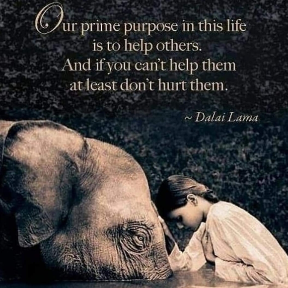 Like ❤️ this Listing To be notified of my Auctions! - Picture 5 of 16